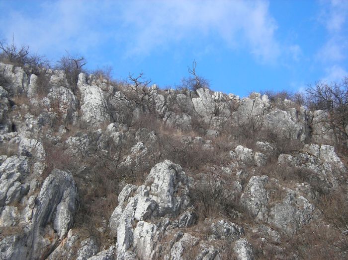 Karrmező Aggtelek határában